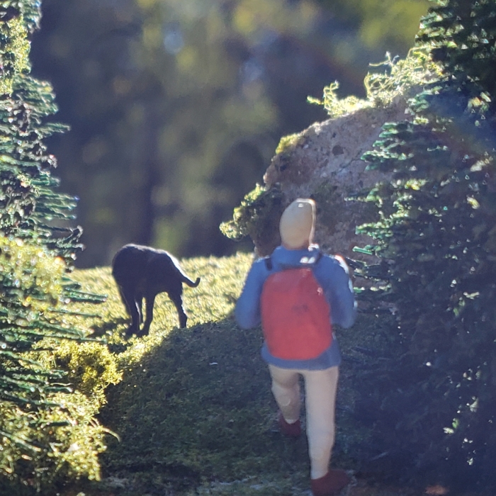 I Created A Ho Scale Scenery