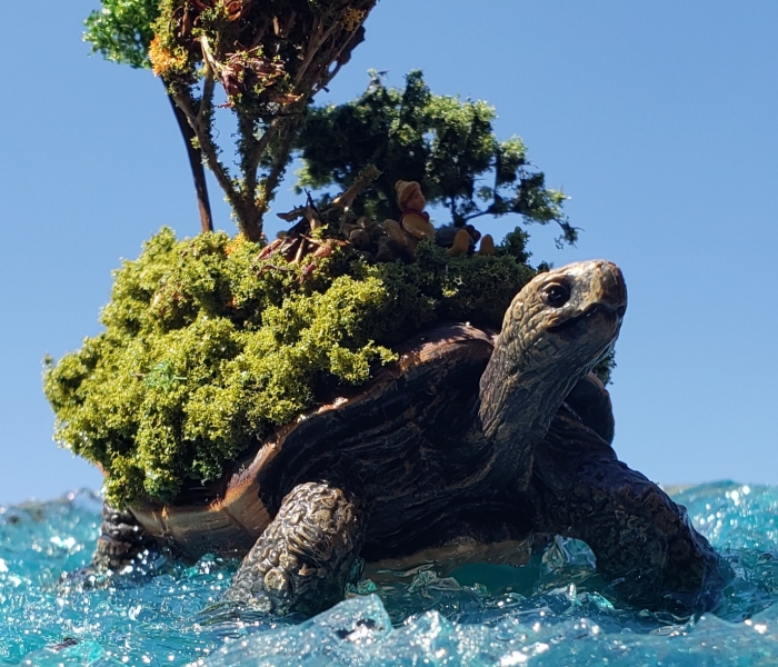 I Created This Turtle Island