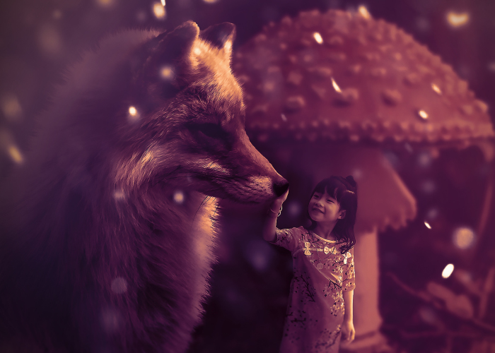 I Create Animal Photo Manipulations