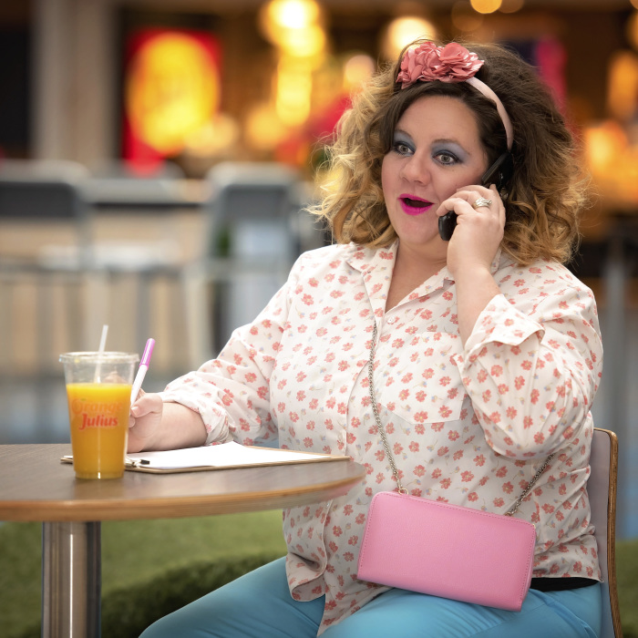 I Recreated Melissa Mccarthy’s Movie “Identity Thief” With My Fearless Neighbor Jamie