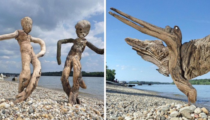 The Reincarnation Of Driftwood