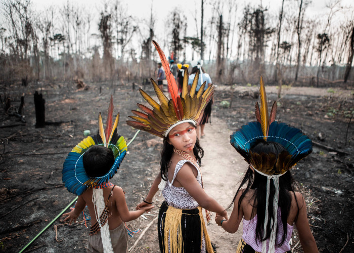 I Traveled To Burning Amazon Forest And Had My Very First Ayahuasca Ceremony