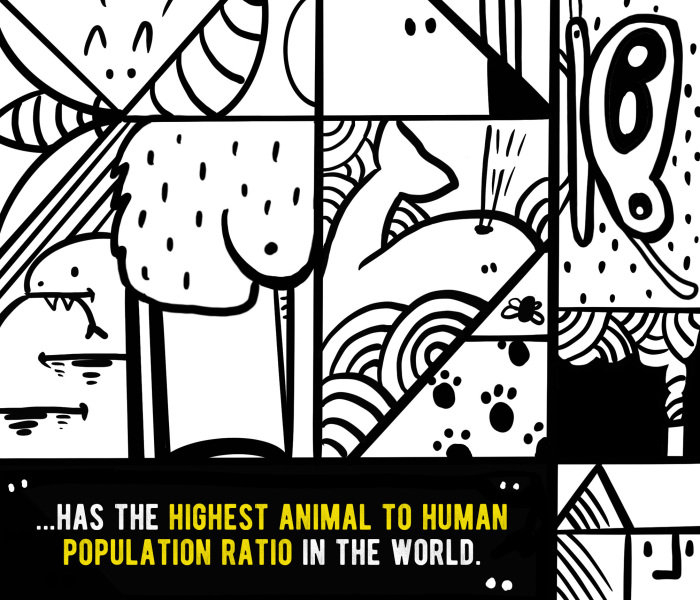 We Illustrated 20 Interesting Facts About New Zealand That You Probably Didn’t Know