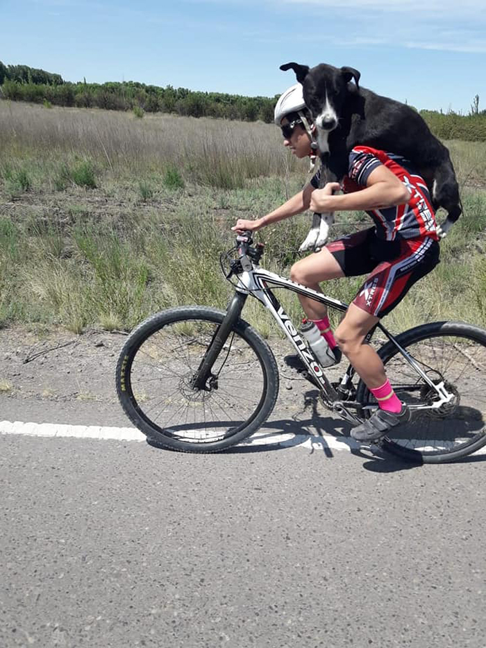 Cyclist Stops Mid-Practice To Help A Dehydrated Dog, Ends Up Carrying It On His Back Cyclist Stops Mid-Practice To Help A Dehydrated Dog, Ends Up Carrying It On His Back