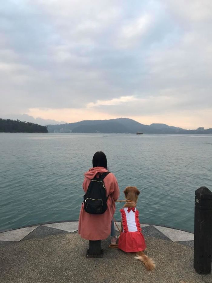 Dog Stops Owner From Going To Wuhan By Destroying Her Passport, Potentially Saves Her