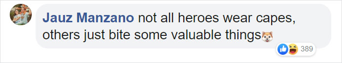 Dog Stops Owner From Going To Wuhan By Destroying Her Passport, Potentially Saves Her