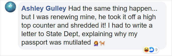 Dog Stops Owner From Going To Wuhan By Destroying Her Passport, Potentially Saves Her