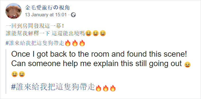 Dog Stops Owner From Going To Wuhan By Destroying Her Passport, Potentially Saves Her