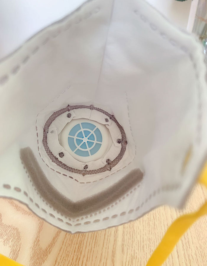 Scared Of Coronavirus, Chinese People Have Started Putting Masks On Their Pets