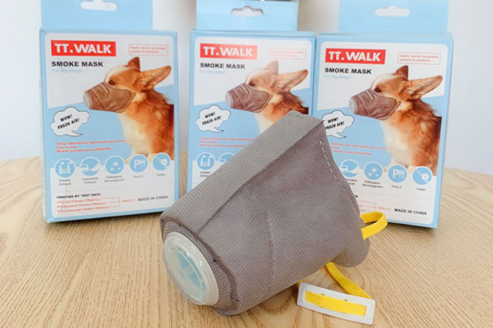 Scared Of Coronavirus, Chinese People Have Started Putting Masks On Their Pets