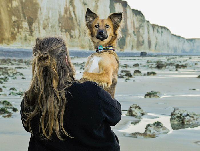 I Adopted Tofu, A Shelter Dog Who Is Often Too Scared To Walk, So I Carry Her Everywhere (30 Pics)