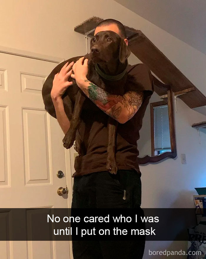 Funny-Hilarious-Dog-Snapchats