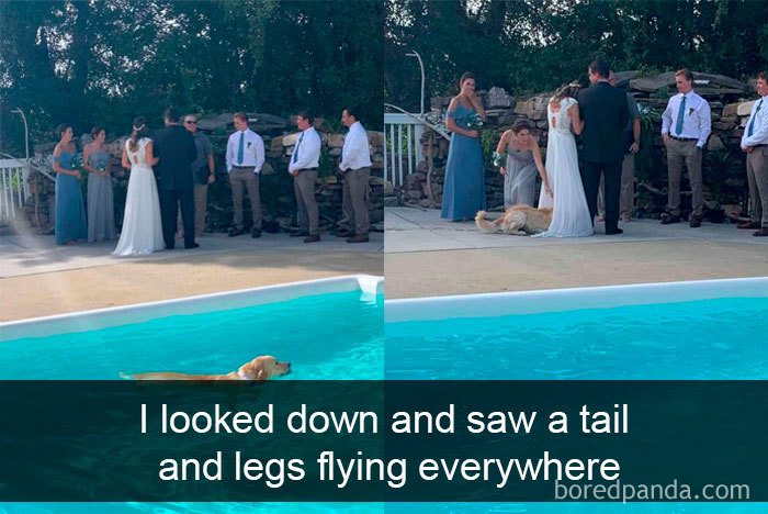 Funny-Hilarious-Dog-Snapchats