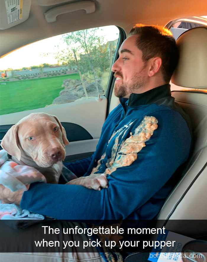 Funny-Hilarious-Dog-Snapchats