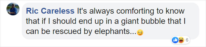 For $585 A Night, You Can Sleep In A See-Through Jungle Bubble That's Surrounded By Rescue Elephants For $585 A Night, You Can Sleep In A See-Through Jungle Bubble That's Surrounded By Rescue Elephants