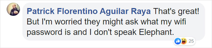 For $585 A Night, You Can Sleep In A See-Through Jungle Bubble That's Surrounded By Rescue Elephants