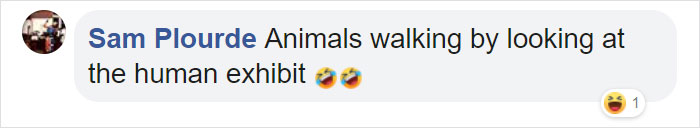 For $585 A Night, You Can Sleep In A See-Through Jungle Bubble That's Surrounded By Rescue Elephants For $585 A Night, You Can Sleep In A See-Through Jungle Bubble That's Surrounded By Rescue Elephants