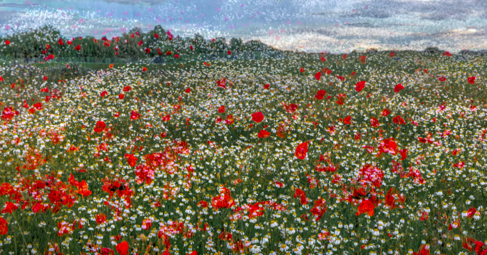 I Capture Layers Of Time In Nature