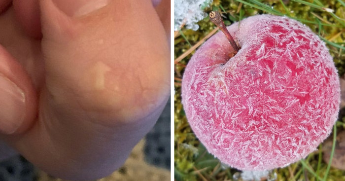 I Have Found Some Interesting Things People Upload On The Internet (20 Pics)