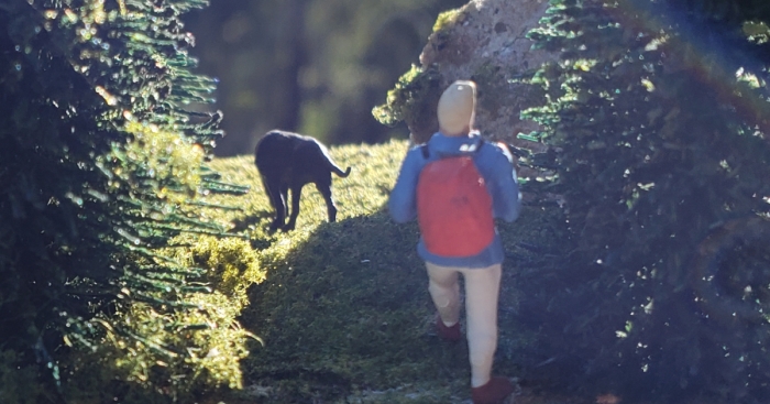 I Created A Ho Scale Scenery