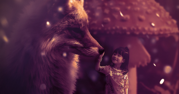 I Create Animal Photo Manipulations