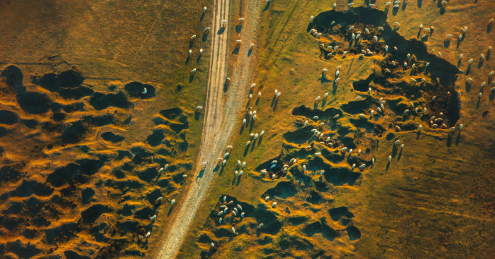 I Captured Amazing Nature Of Georgia From A Helicopter