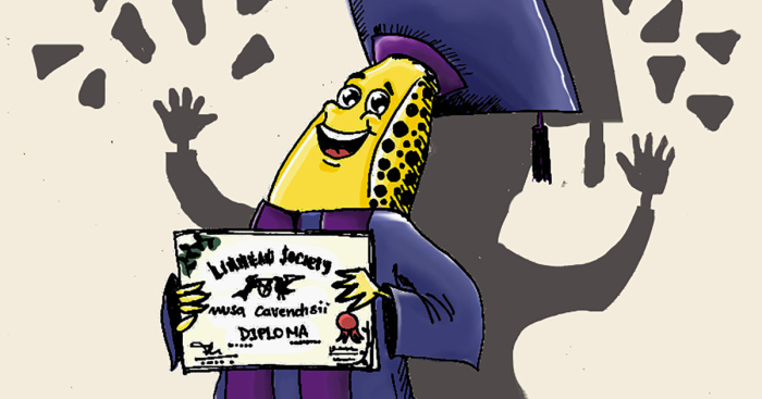 The Fascinating History Of The Banana