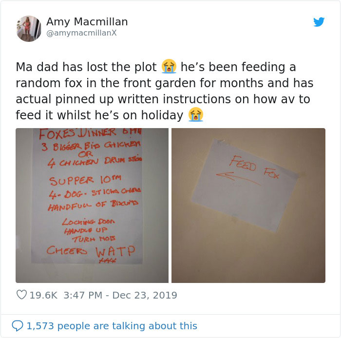 Dad Leaves A Detailed Feeding Schedule To Keep This 'Random' Fox Happy While He's Away, His Daughter Thinks He Lost It Dad Leaves A Detailed Feeding Schedule To Keep This 'Random' Fox Happy While He's Away, His Daughter Thinks He Lost It