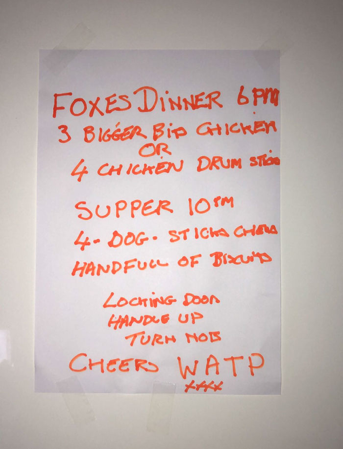 Dad Leaves A Detailed Feeding Schedule To Keep This 'Random' Fox Happy While He's Away, His Daughter Thinks He Lost It Dad Leaves A Detailed Feeding Schedule To Keep This 'Random' Fox Happy While He's Away, His Daughter Thinks He Lost It