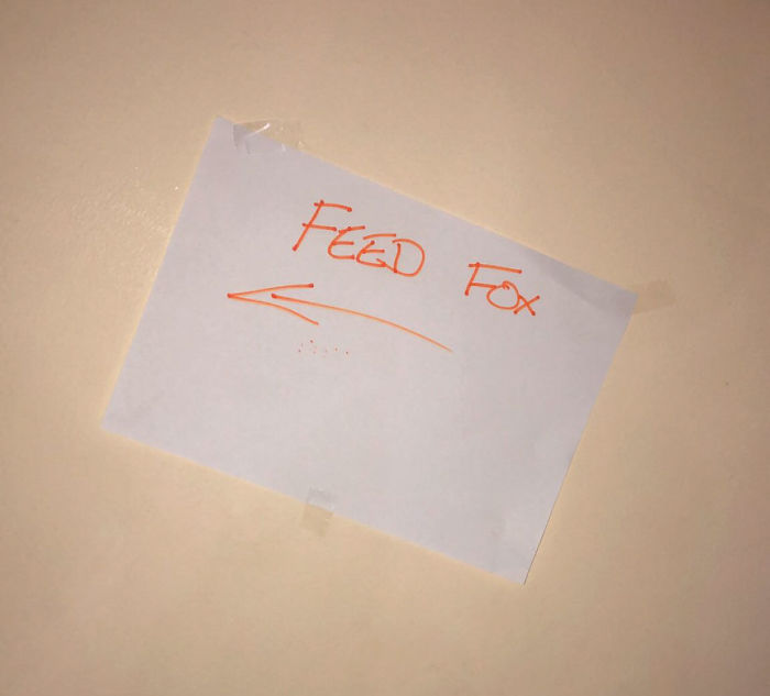 Dad Leaves A Detailed Feeding Schedule To Keep This 'Random' Fox Happy While He's Away, His Daughter Thinks He Lost It Dad Leaves A Detailed Feeding Schedule To Keep This 'Random' Fox Happy While He's Away, His Daughter Thinks He Lost It