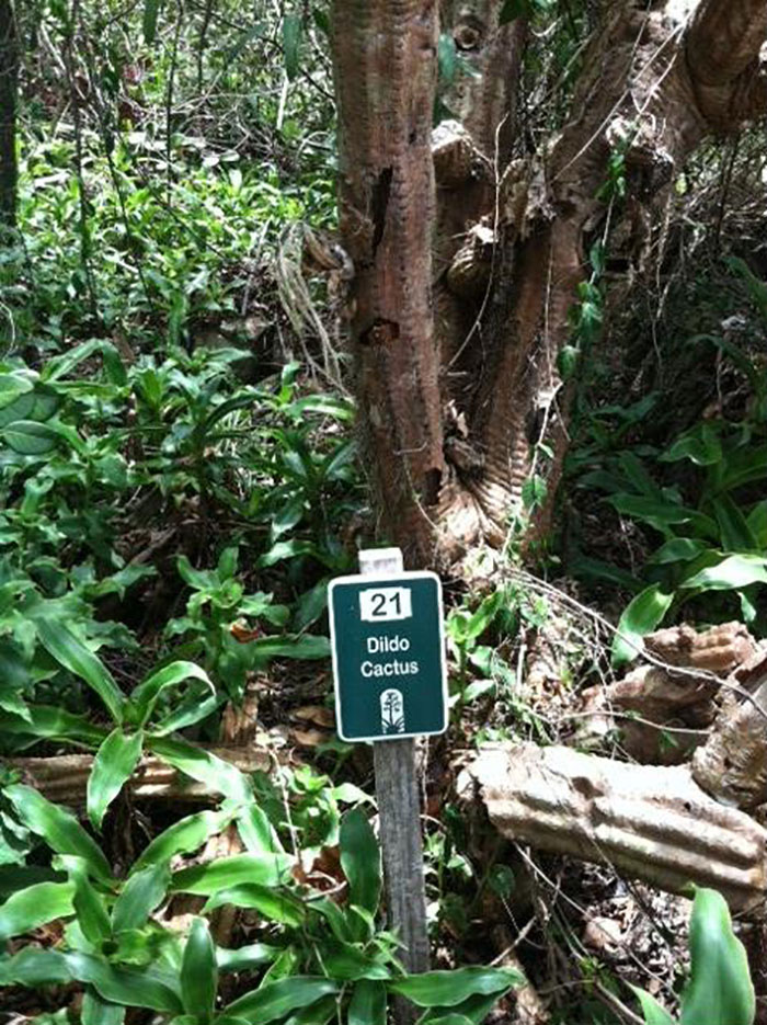 A Good Present For An Ex-GF