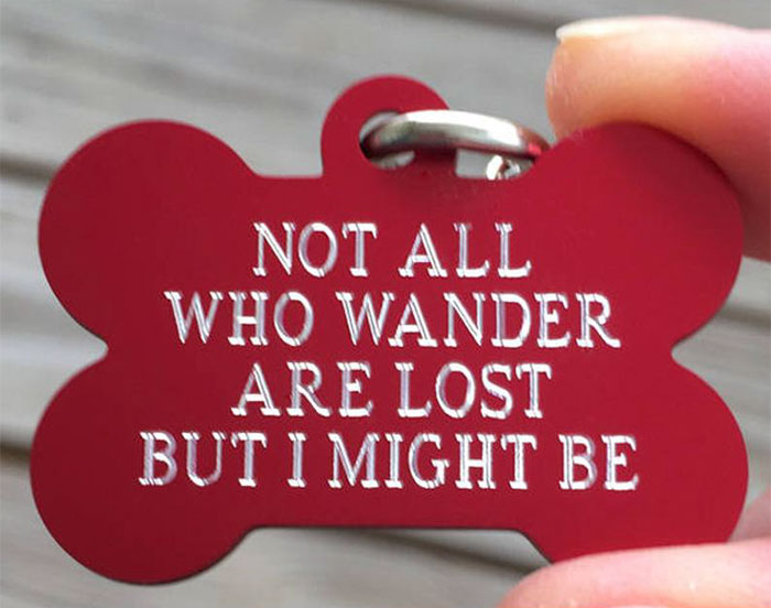 Dog Owners Are Loving These Snarky Name Tags