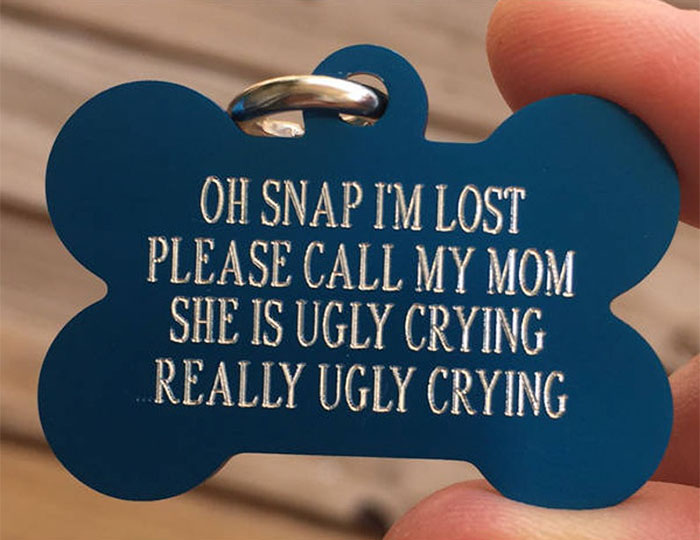 Dog Owners Are Loving These Snarky Name Tags