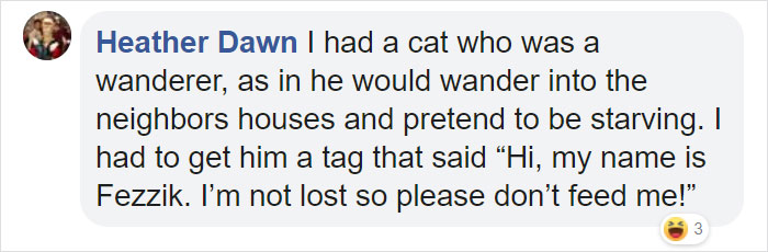 Dog Owners Are Loving These Snarky Name Tags