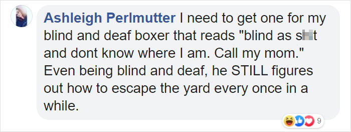 Dog Owners Are Loving These Snarky Name Tags