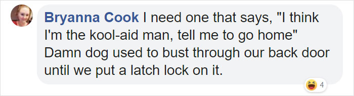 Dog Owners Are Loving These Snarky Name Tags