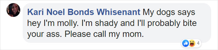 Dog Owners Are Loving These Snarky Name Tags