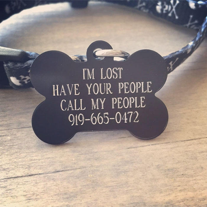Dog Owners Are Loving These Snarky Name Tags