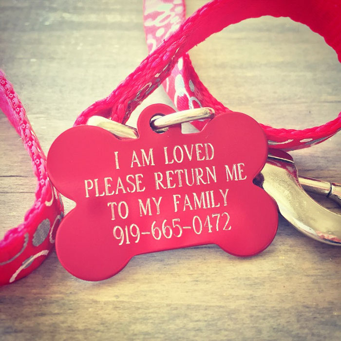 Dog Owners Are Loving These Snarky Name Tags