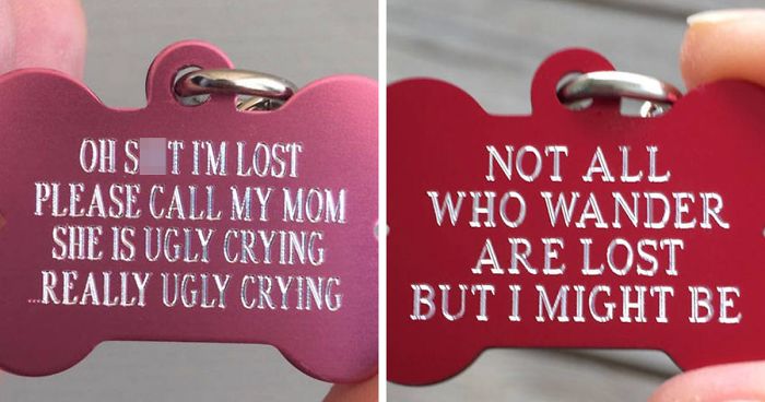 Dog Owners Are Loving These Snarky Name Tags