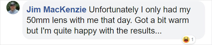 Science Gave Us A High-Def Close-Up Of The Sun’s Surface And People Are Seeing Things Science Gave Us A High-Def Close-Up Of The Sun’s Surface And People Are Seeing Things