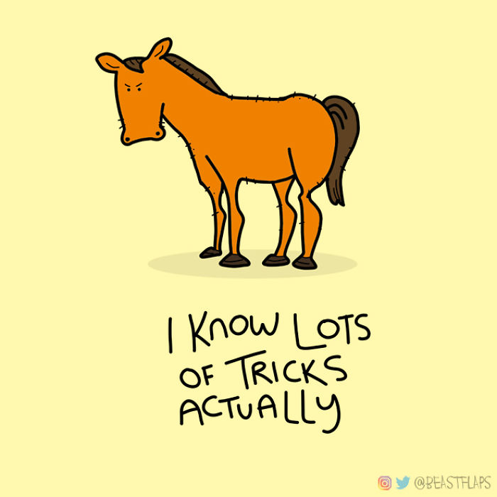 I Decided To Get Myself Out Of A Creative Rut This Year By Promising To Draw One Grumpy Animal Every Single Day