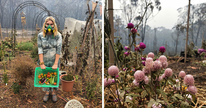 Australian Woman Shares Photos After Fires Destroyed Her House, But Left Her Garden Untouched