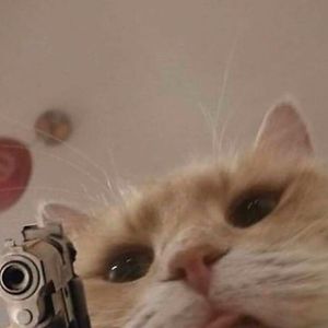 linnea_skille avatar