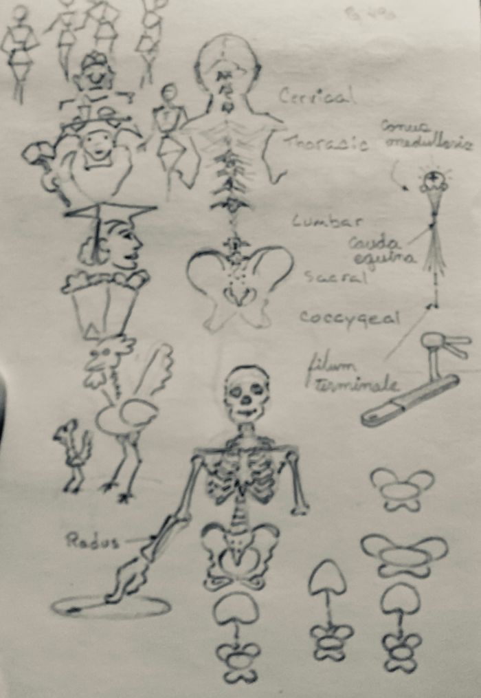 Sample Of Memory Drawings From School