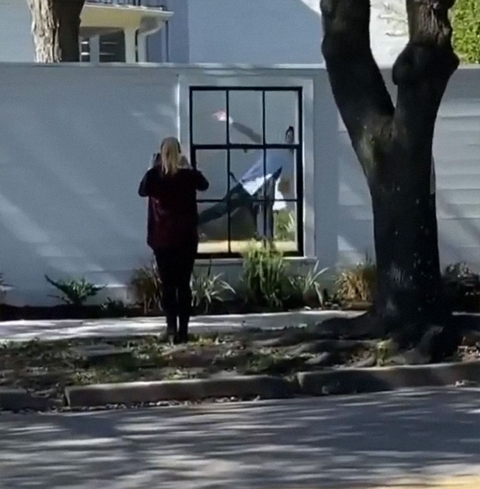 Black Swan: Deleted Scenes