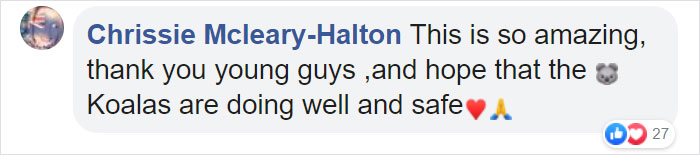Australian Teens Save As Many Koalas As They Can By Driving Around And Searching For All The Live Ones Australian Teens Save As Many Koalas As They Can By Driving Around And Searching For All The Live Ones