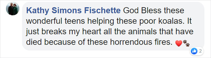 Australian Teens Save As Many Koalas As They Can By Driving Around And Searching For All The Live Ones Australian Teens Save As Many Koalas As They Can By Driving Around And Searching For All The Live Ones