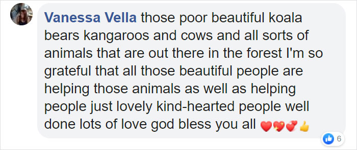 Australian Teens Save As Many Koalas As They Can By Driving Around And Searching For All The Live Ones Australian Teens Save As Many Koalas As They Can By Driving Around And Searching For All The Live Ones