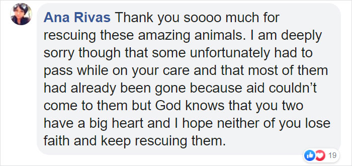 Australian Teens Save As Many Koalas As They Can By Driving Around And Searching For All The Live Ones